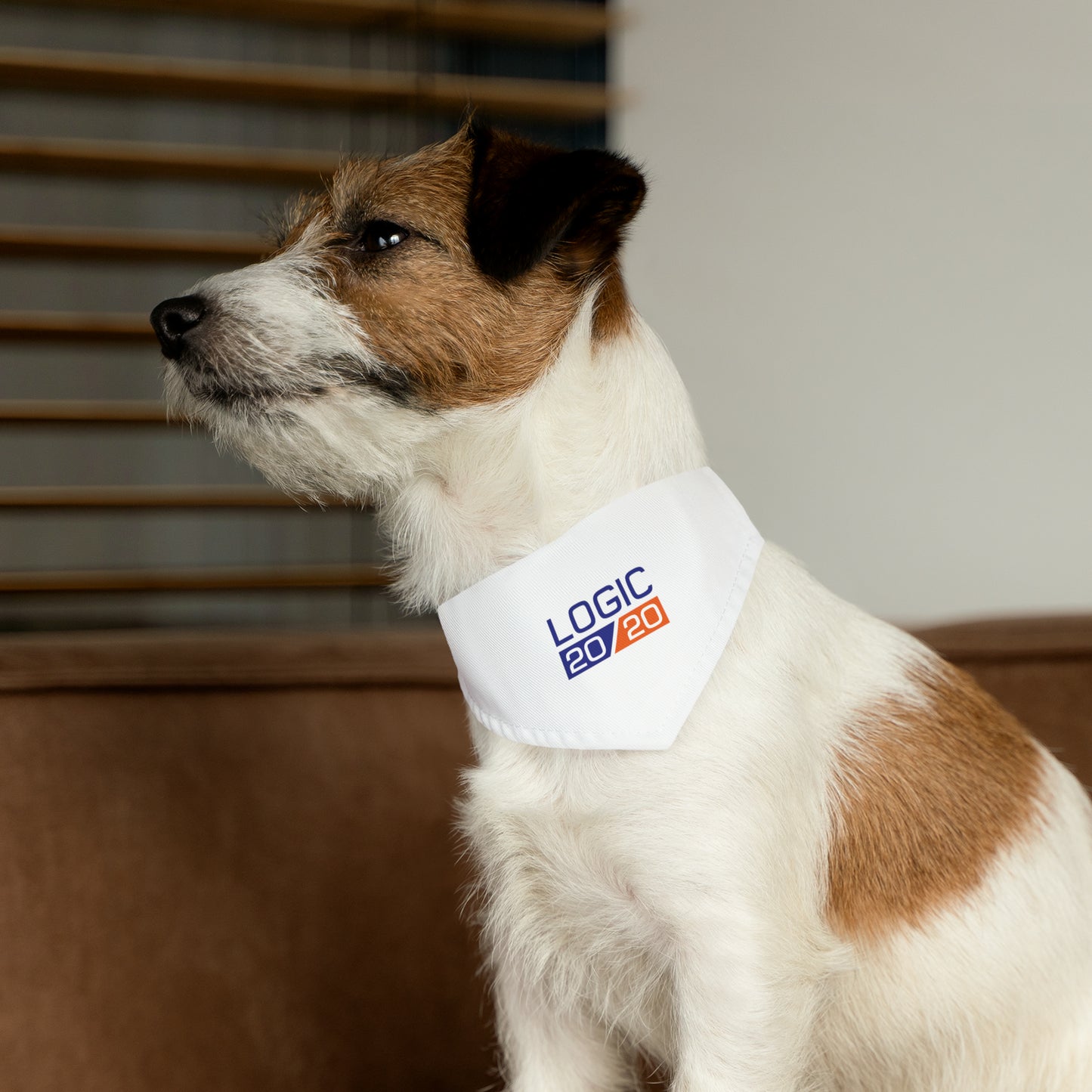 Pet Bandana Collar